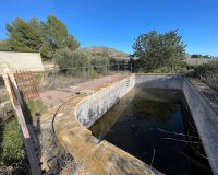Reventa - Finca - Aspe