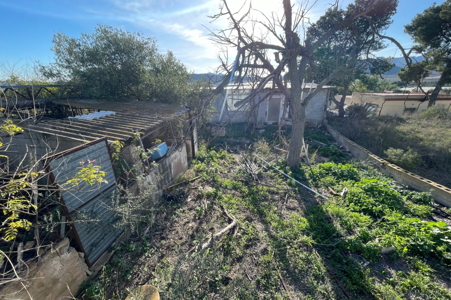 Reventa - Finca - Aspe