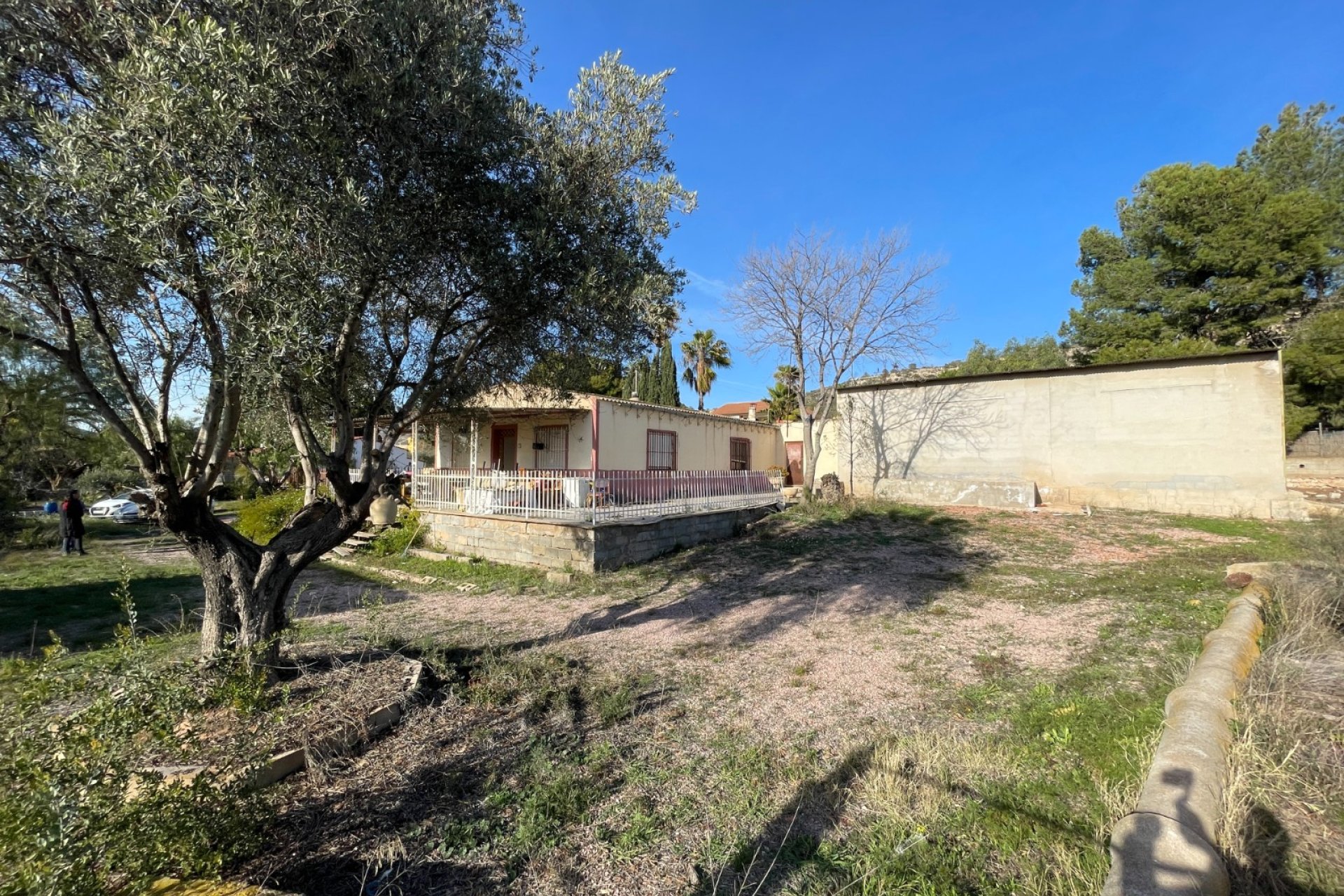 Reventa - Finca - Aspe