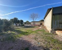 Reventa - Finca - Aspe