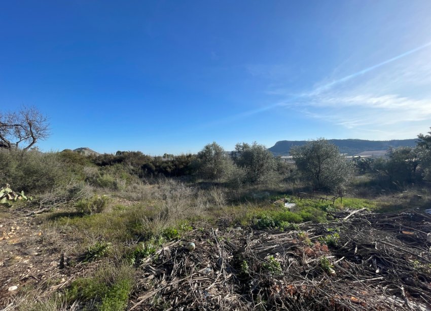 Reventa - Finca - Aspe