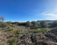 Reventa - Finca - Aspe
