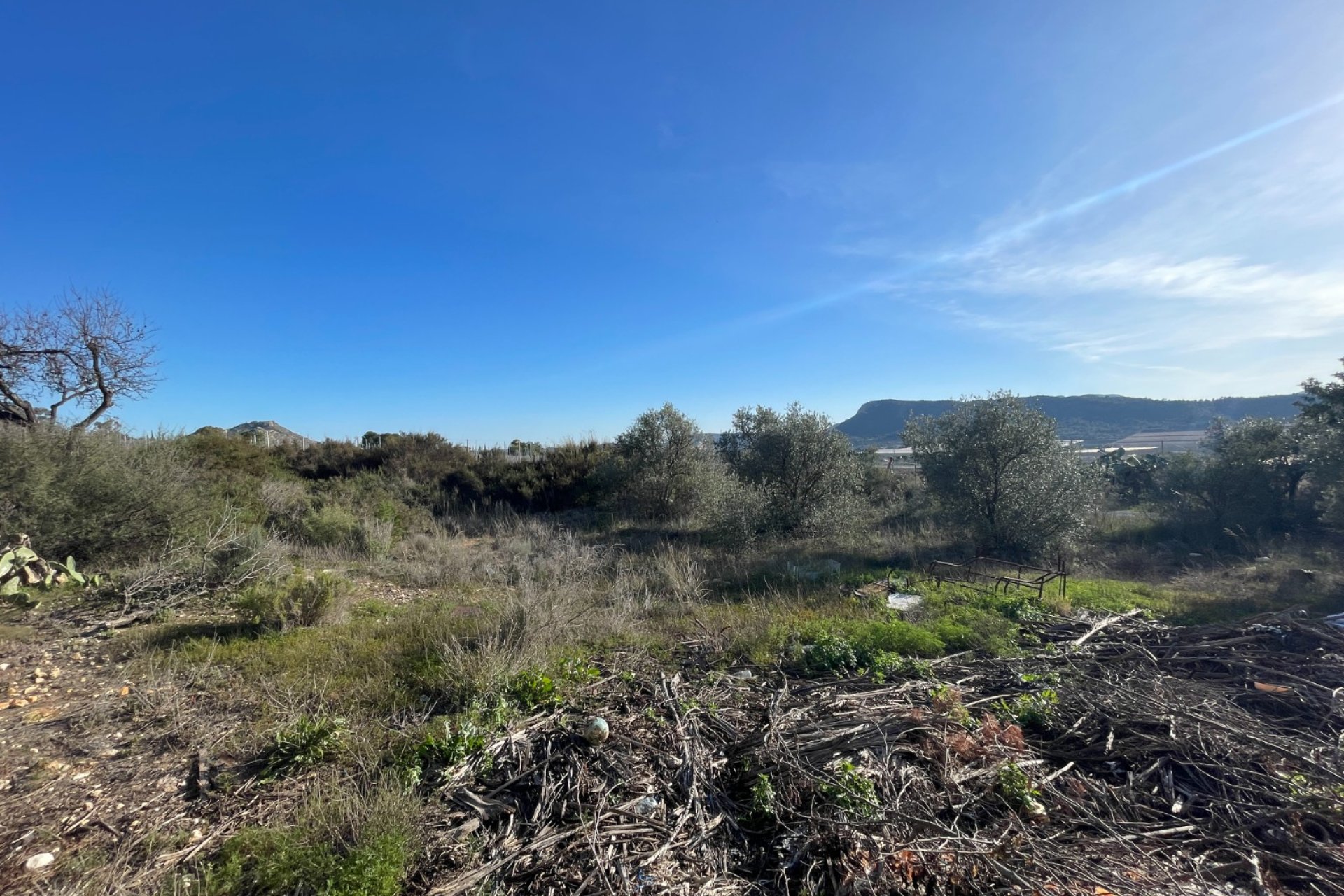 Reventa - Finca - Aspe