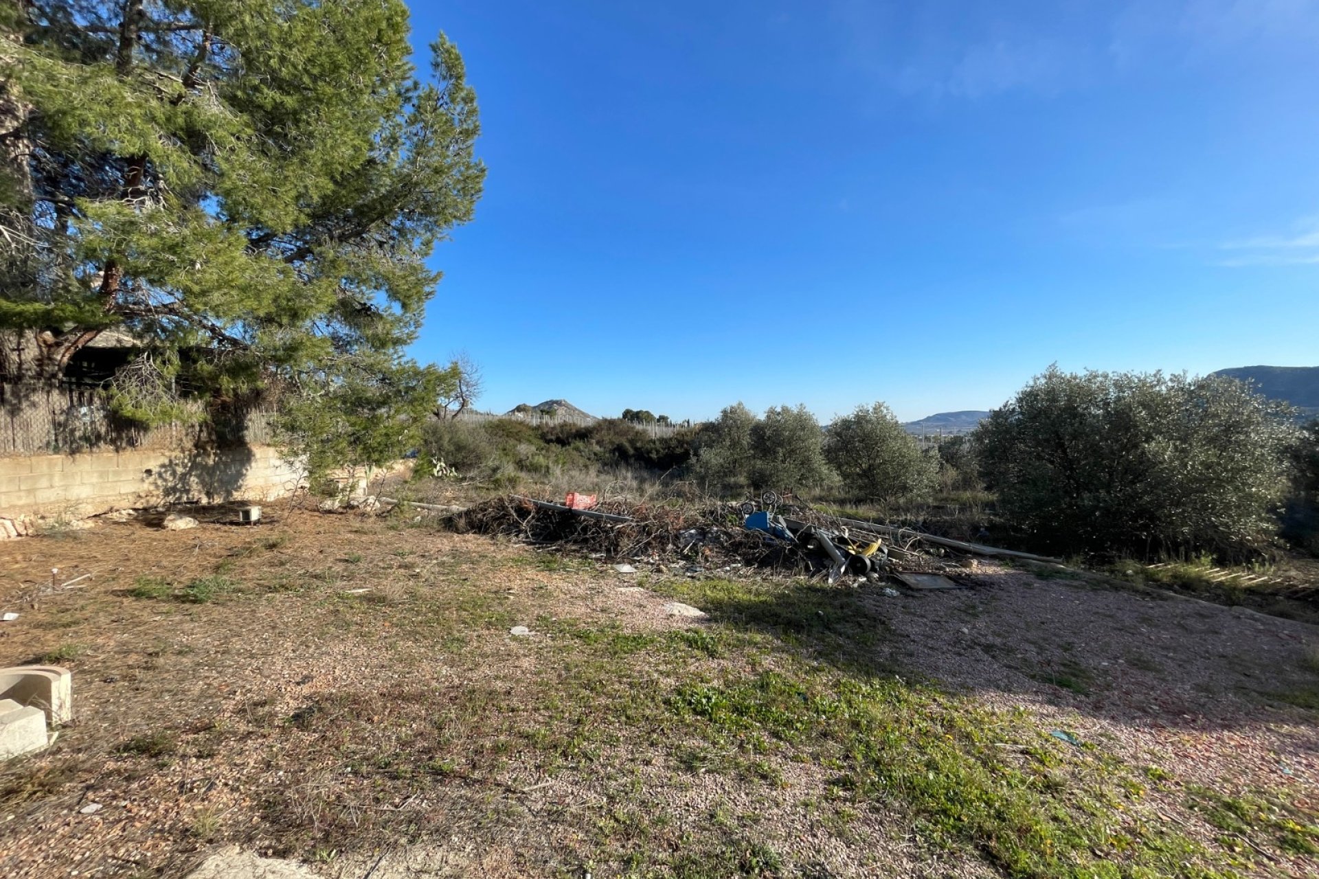 Reventa - Finca - Aspe