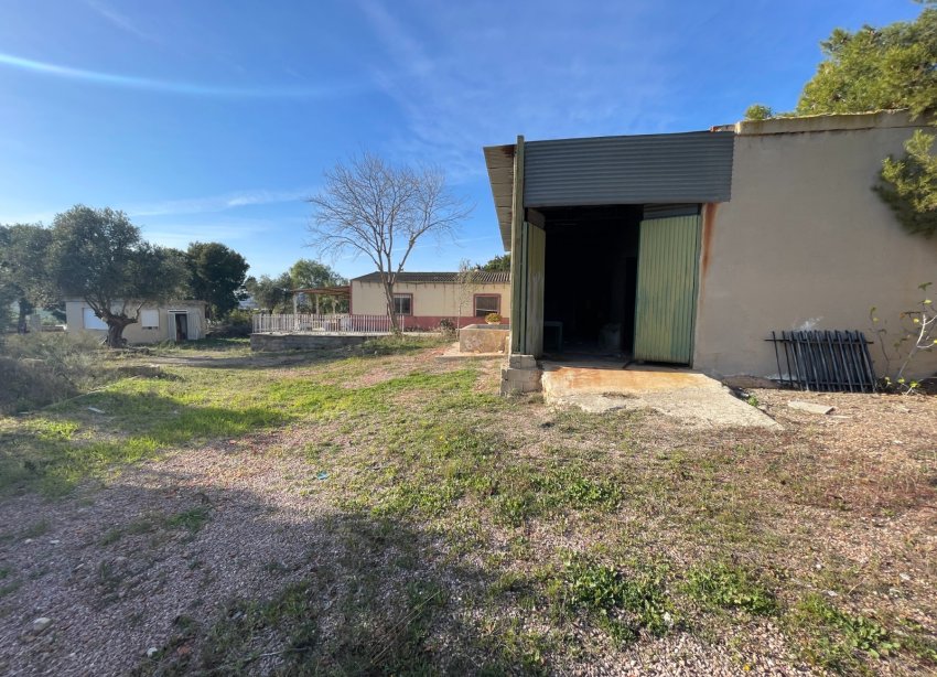 Reventa - Finca - Aspe