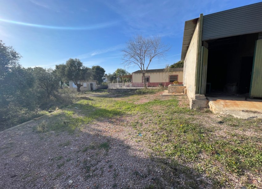 Reventa - Finca - Aspe
