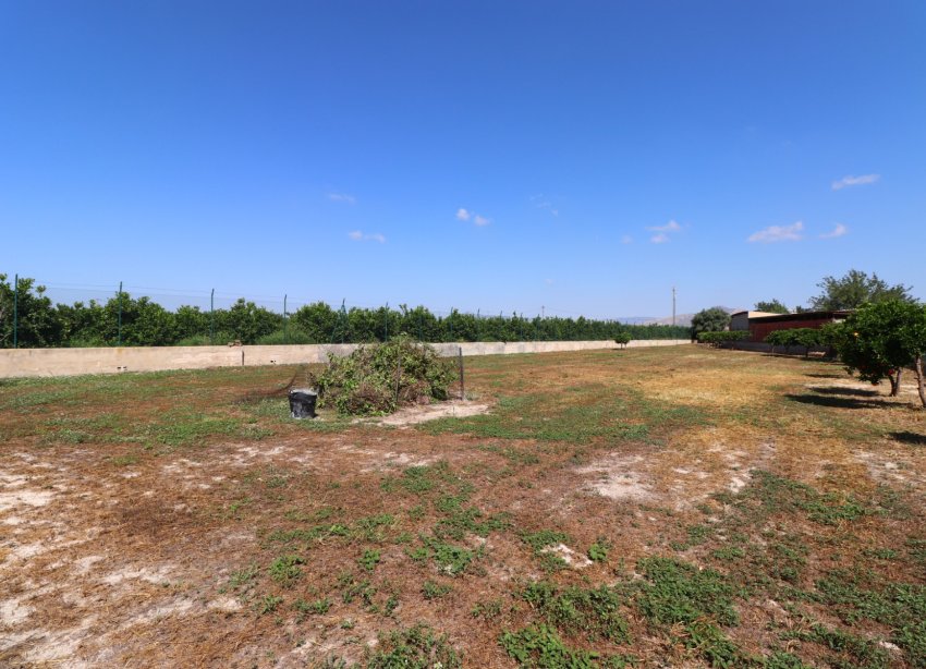 Reventa - Finca - Benferri - Benferri - Country