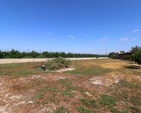Reventa - Finca - Benferri - Benferri - Country