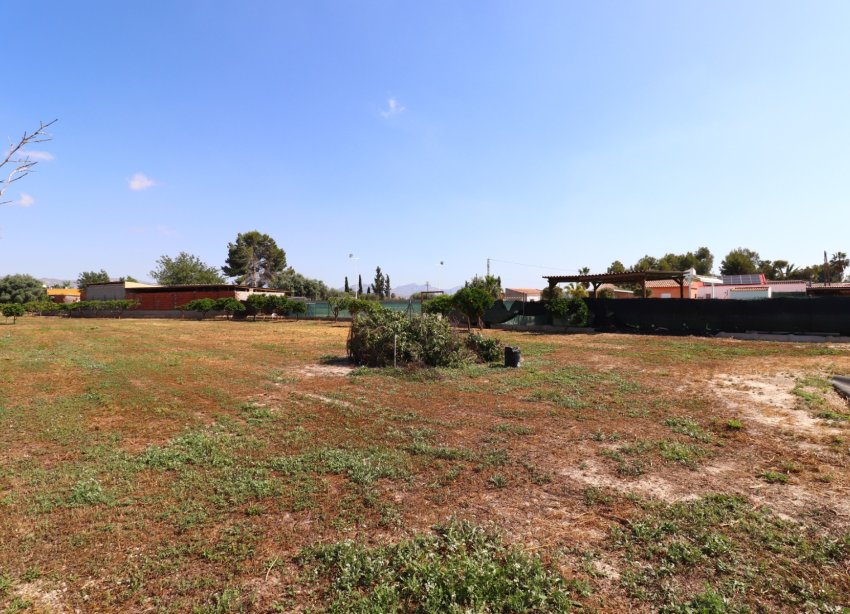 Reventa - Finca - Benferri - Benferri - Country