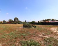Reventa - Finca - Benferri - Benferri - Country