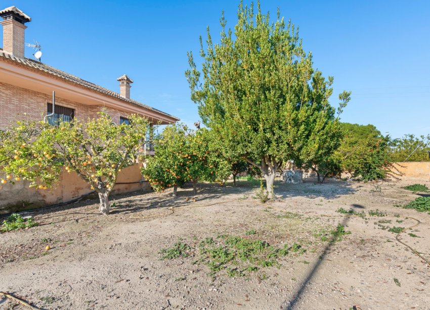 Reventa - Finca - Beniel - Carretera de Beniel