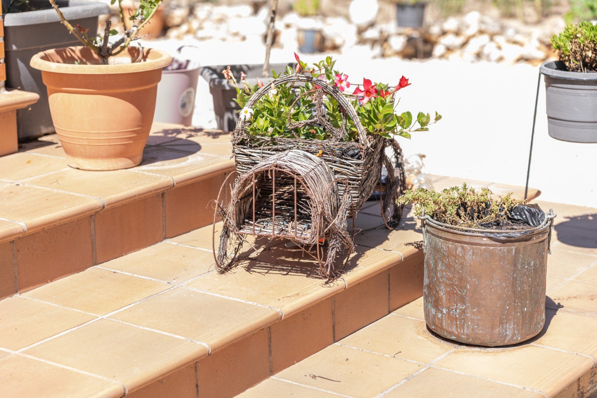 Reventa - Finca - Bocairent - Inland