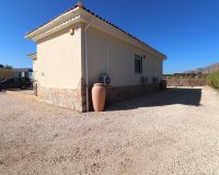 Reventa - Finca - Callosa de Segura - Callosa de Segura - Country