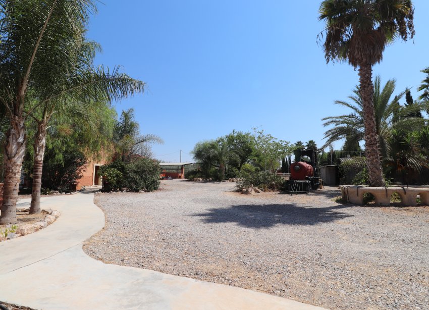 Reventa - Finca - Catral - Catral - Country