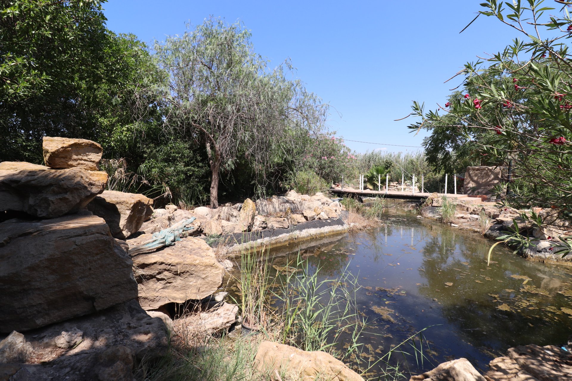Reventa - Finca - Catral - Catral - Country