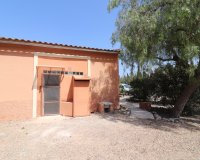 Reventa - Finca - Catral - Catral - Country