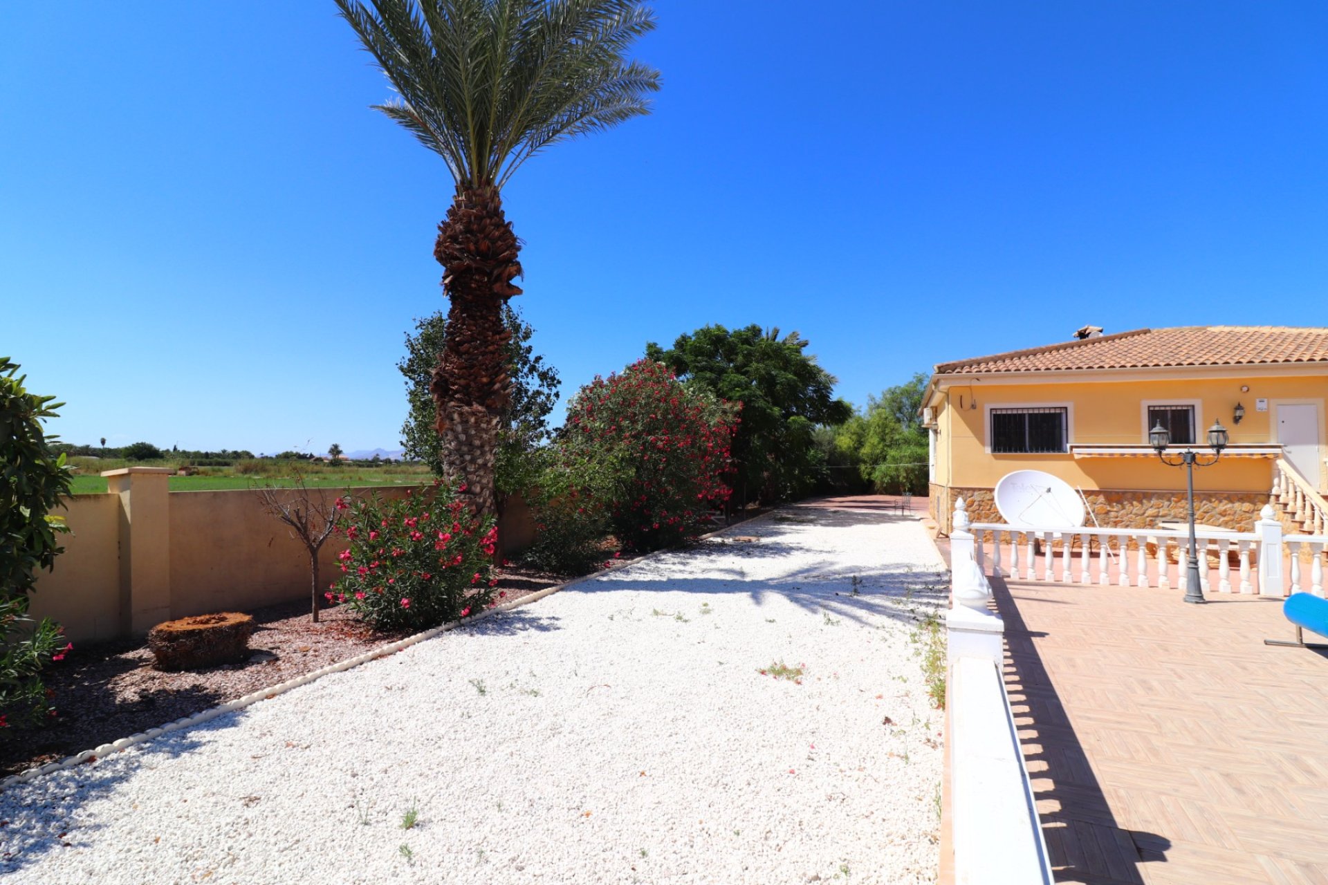 Reventa - Finca - Catral - Catral - Country
