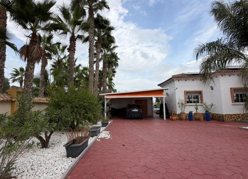 Reventa - Finca - Catral - Comunidad valenciana