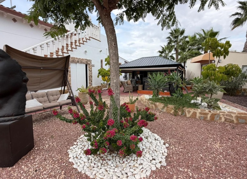 Reventa - Finca - Catral - Comunidad valenciana