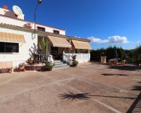 Reventa - Finca - Crevillente - Crevillente - Country