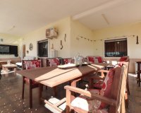 Reventa - Finca - Crevillente - Crevillente - Country