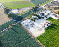 Reventa - Finca - Dolores - Dolores - Country