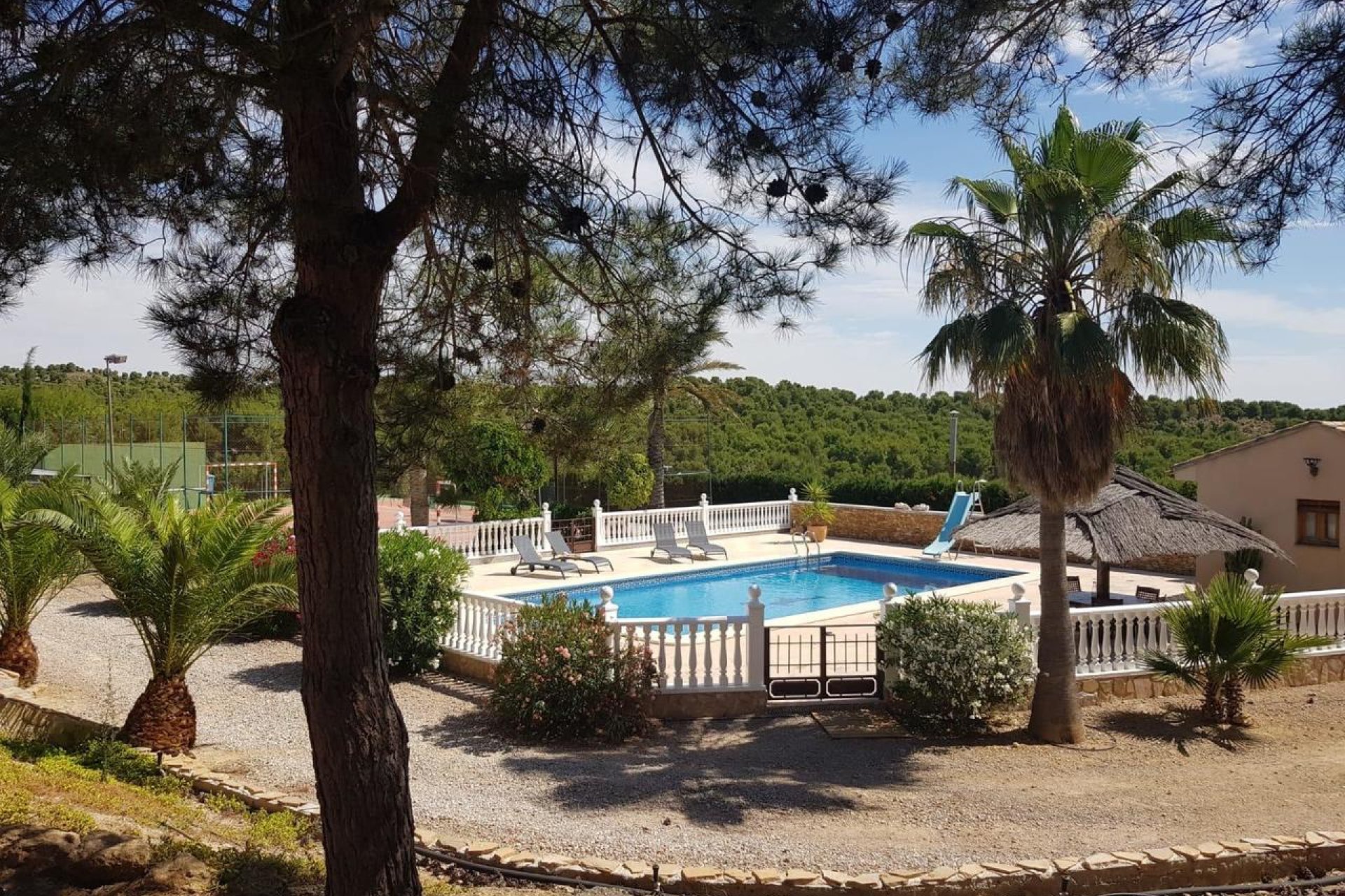 Reventa - Finca - El Esparragal