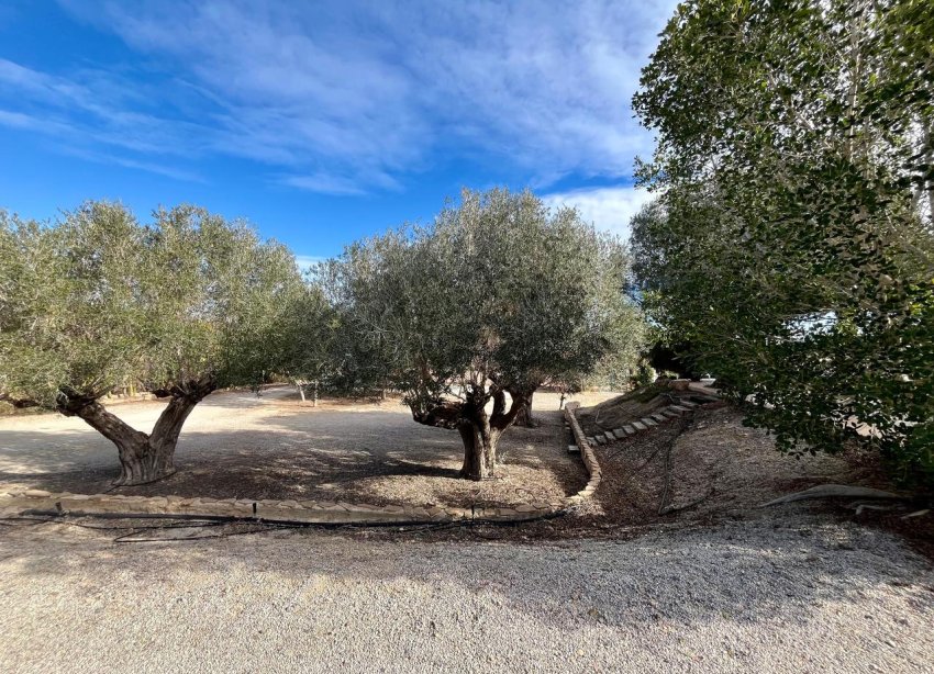 Reventa - Finca - El Esparragal