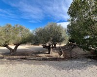 Reventa - Finca - El Esparragal