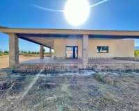 Reventa - Finca - Elche - Matola