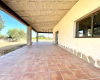 Reventa - Finca - Elche - Matola