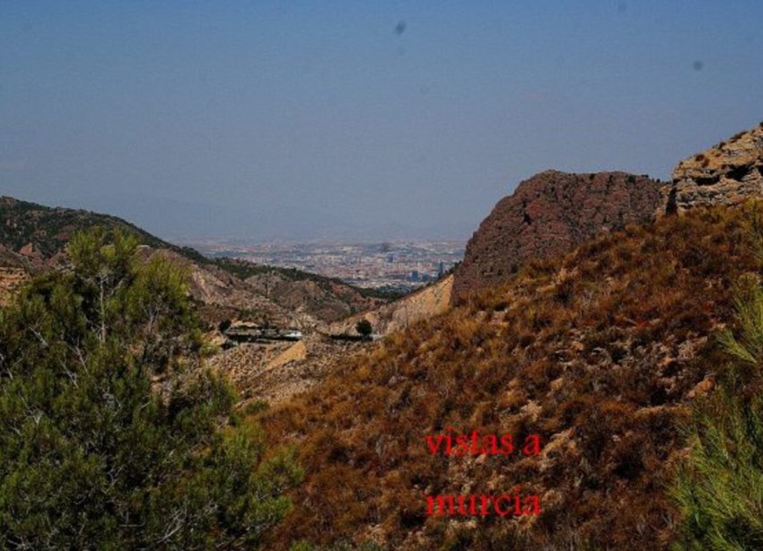 Reventa - Finca - Gea Y Truyols