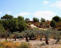 Reventa - Finca - Gea Y Truyols