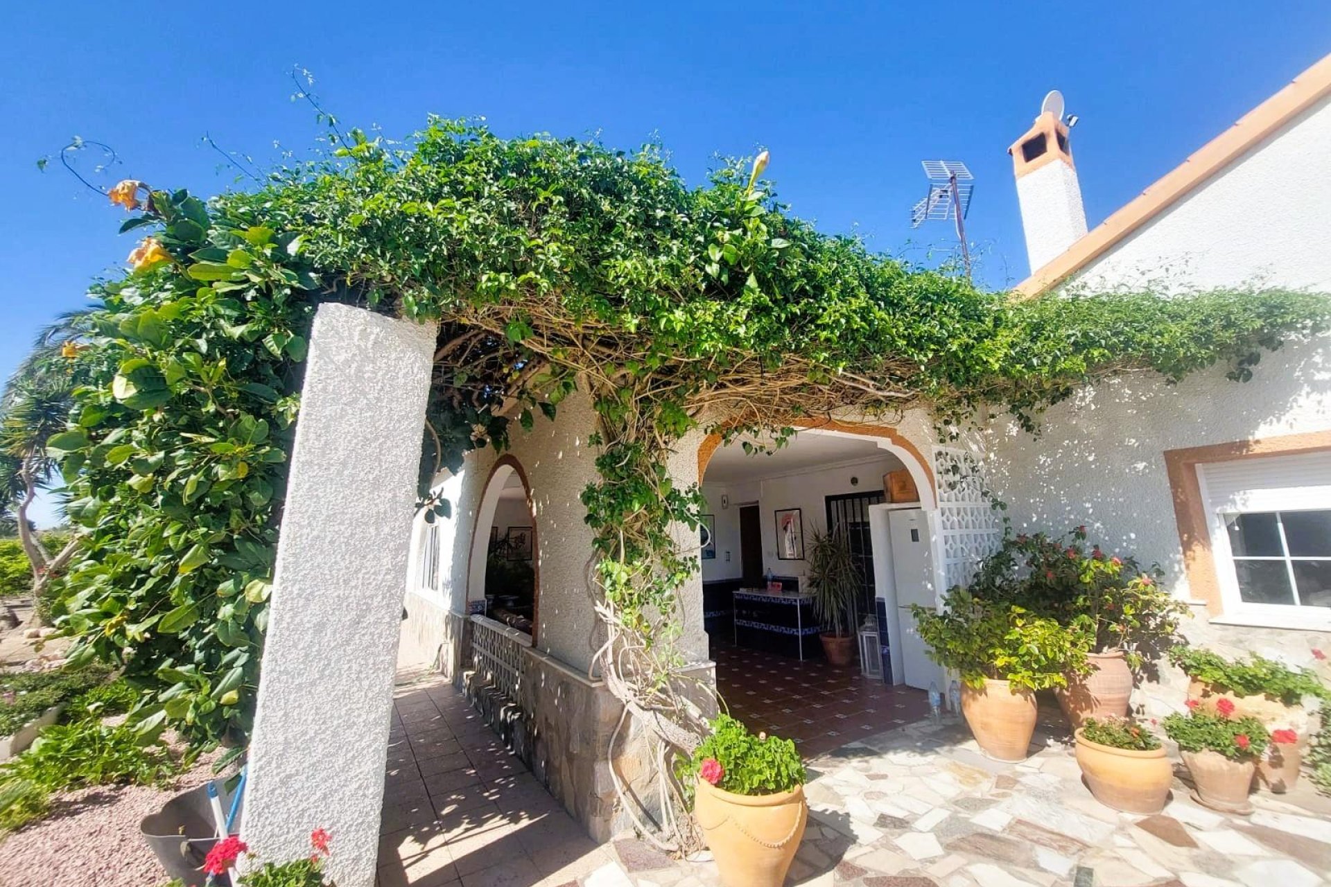 Reventa - Finca - La Marina