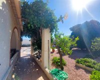 Reventa - Finca - La Marina