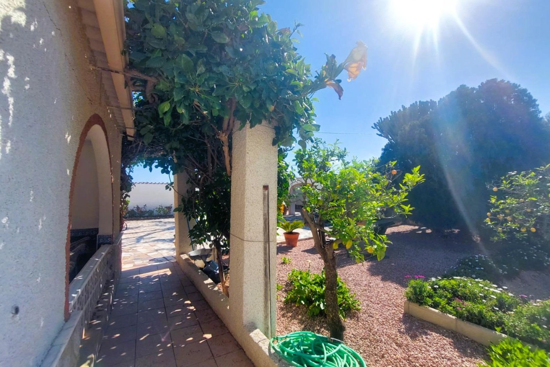 Reventa - Finca - La Marina