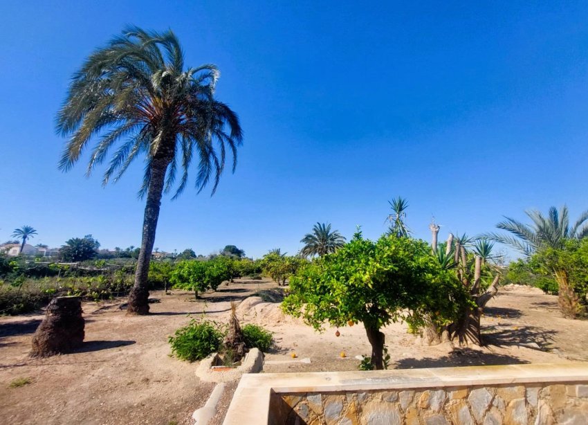 Reventa - Finca - La Marina