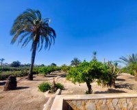 Reventa - Finca - La Marina