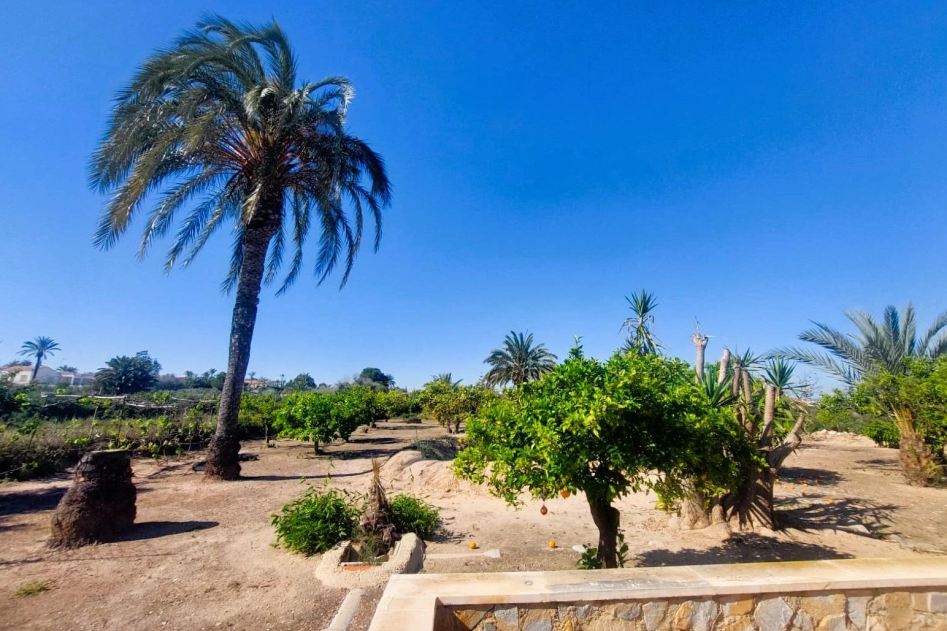 Reventa - Finca - La Marina