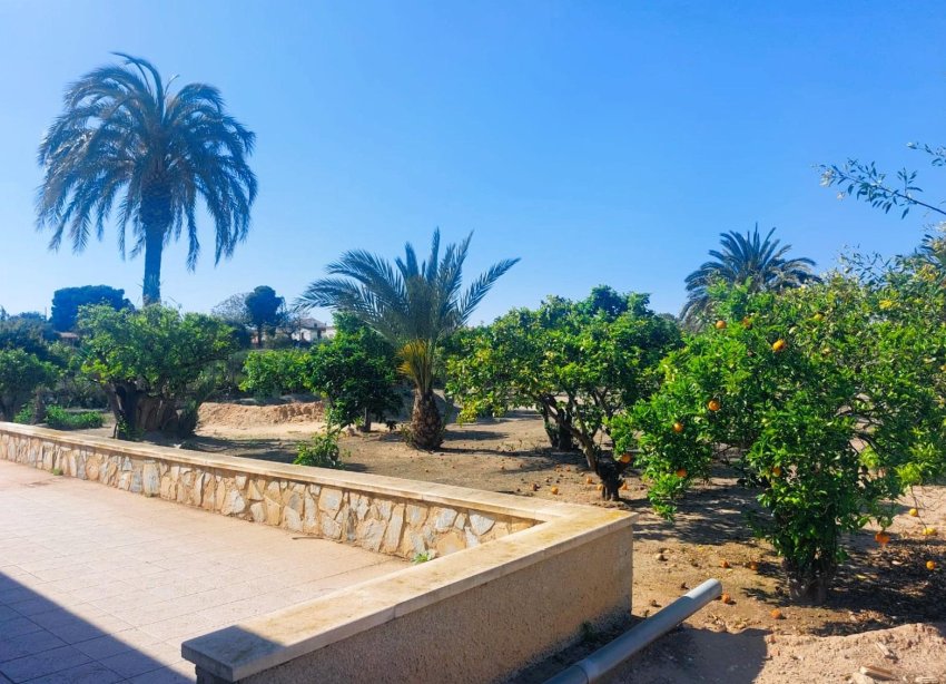 Reventa - Finca - La Marina