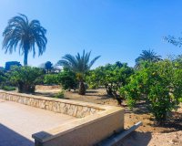 Reventa - Finca - La Marina