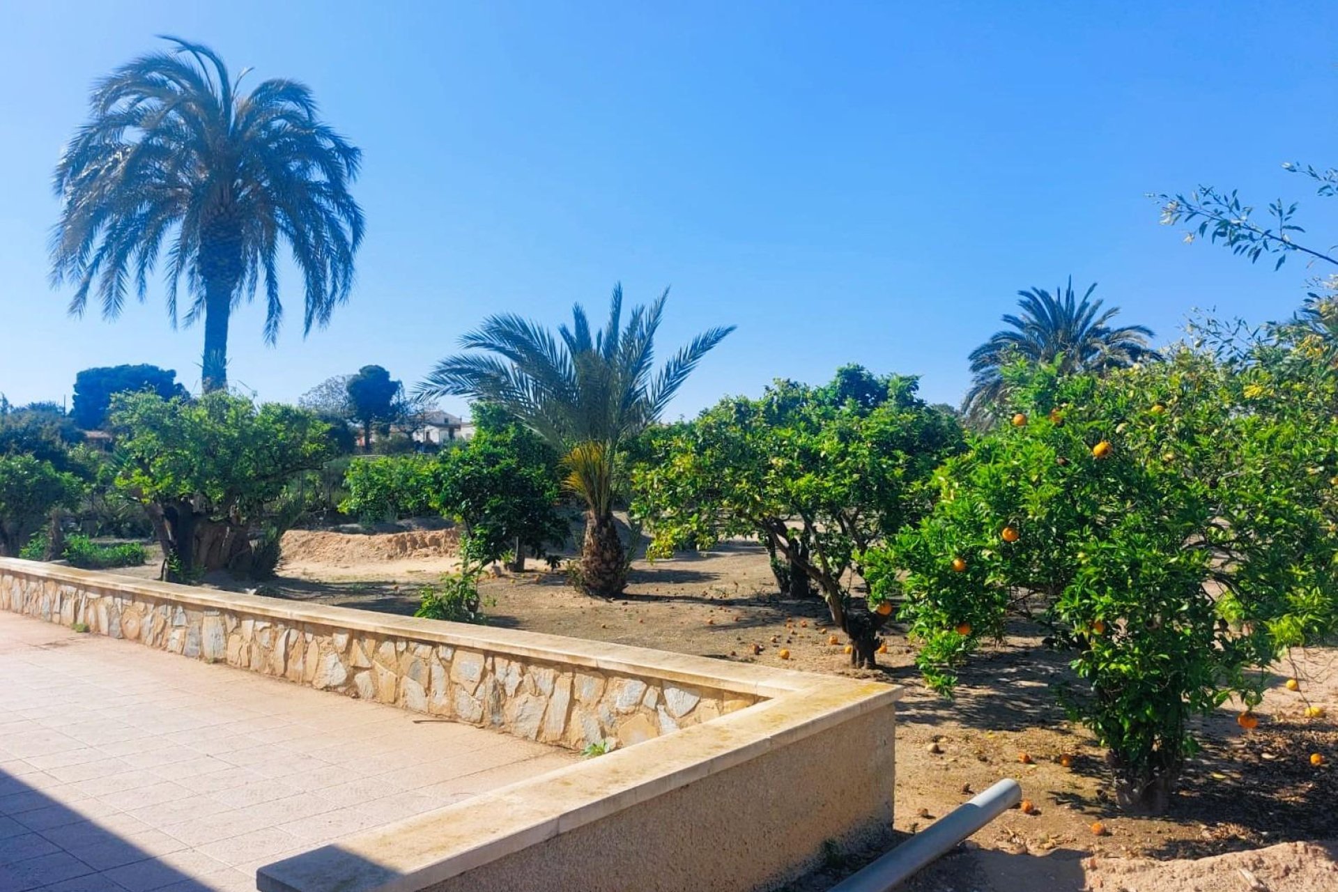 Reventa - Finca - La Marina