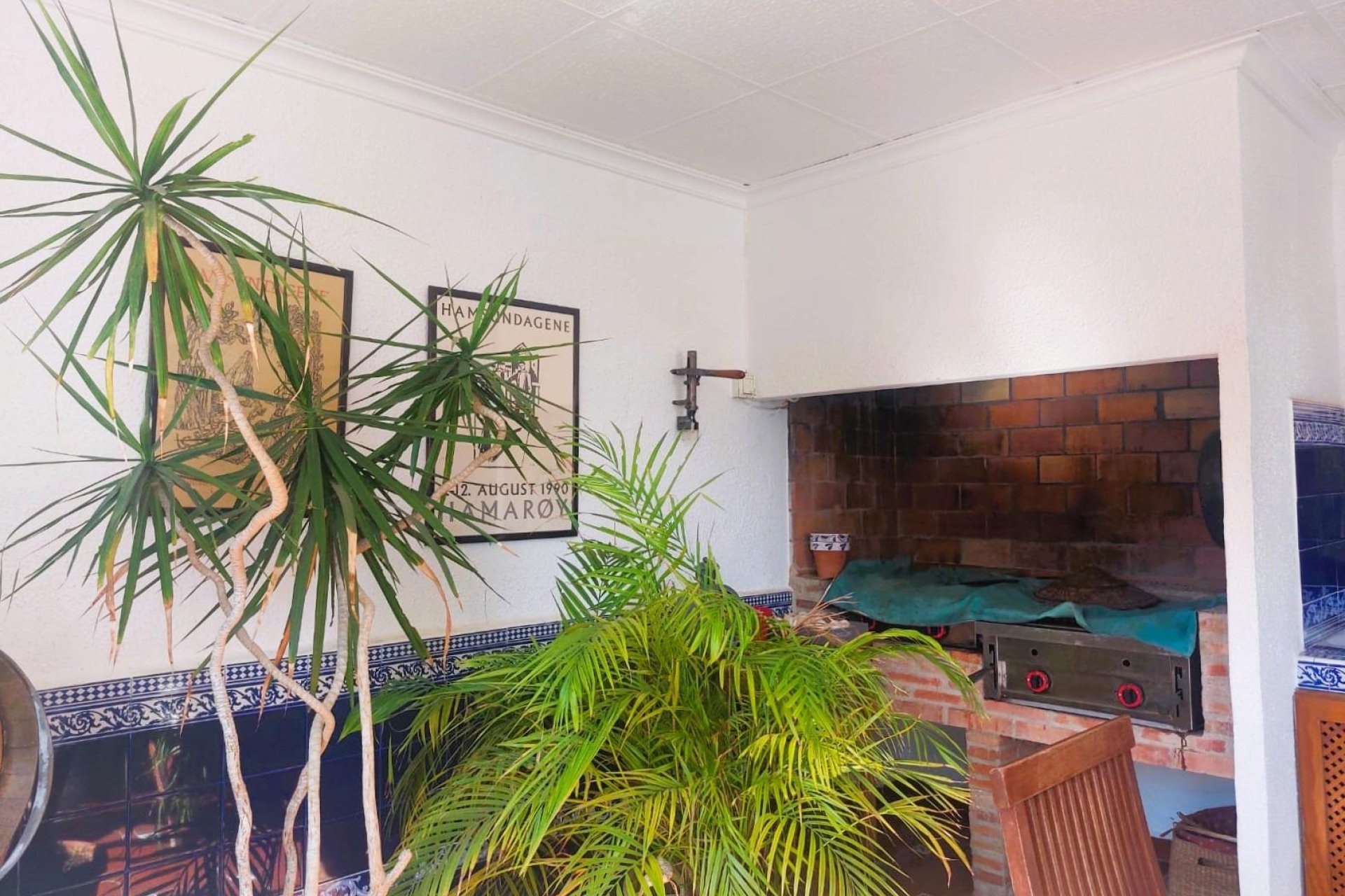 Reventa - Finca - La Marina