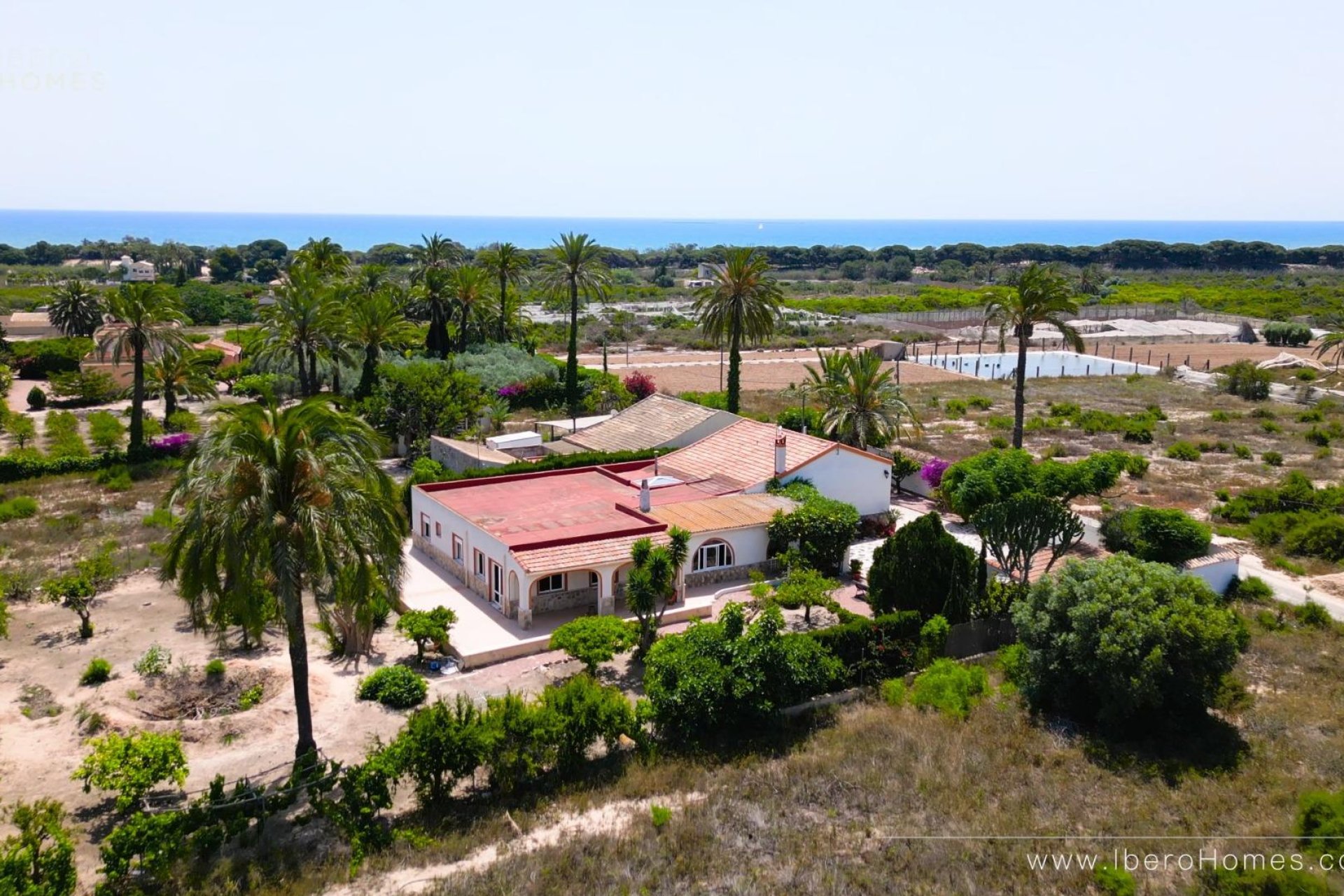 Reventa - Finca - La Marina
