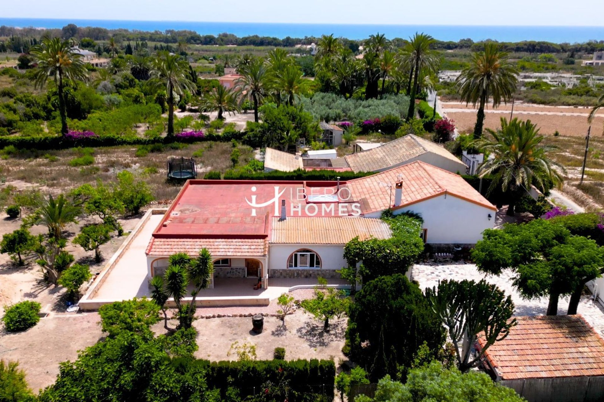 Reventa - Finca - La Marina