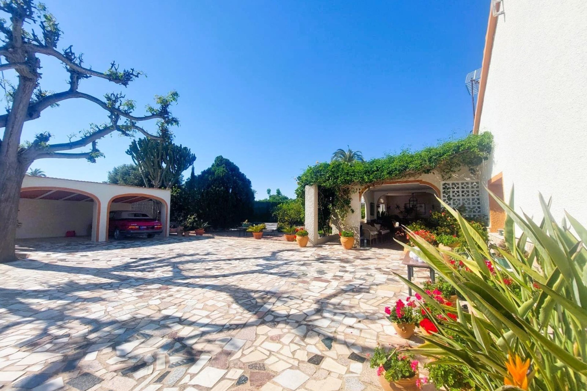 Reventa - Finca - La Marina