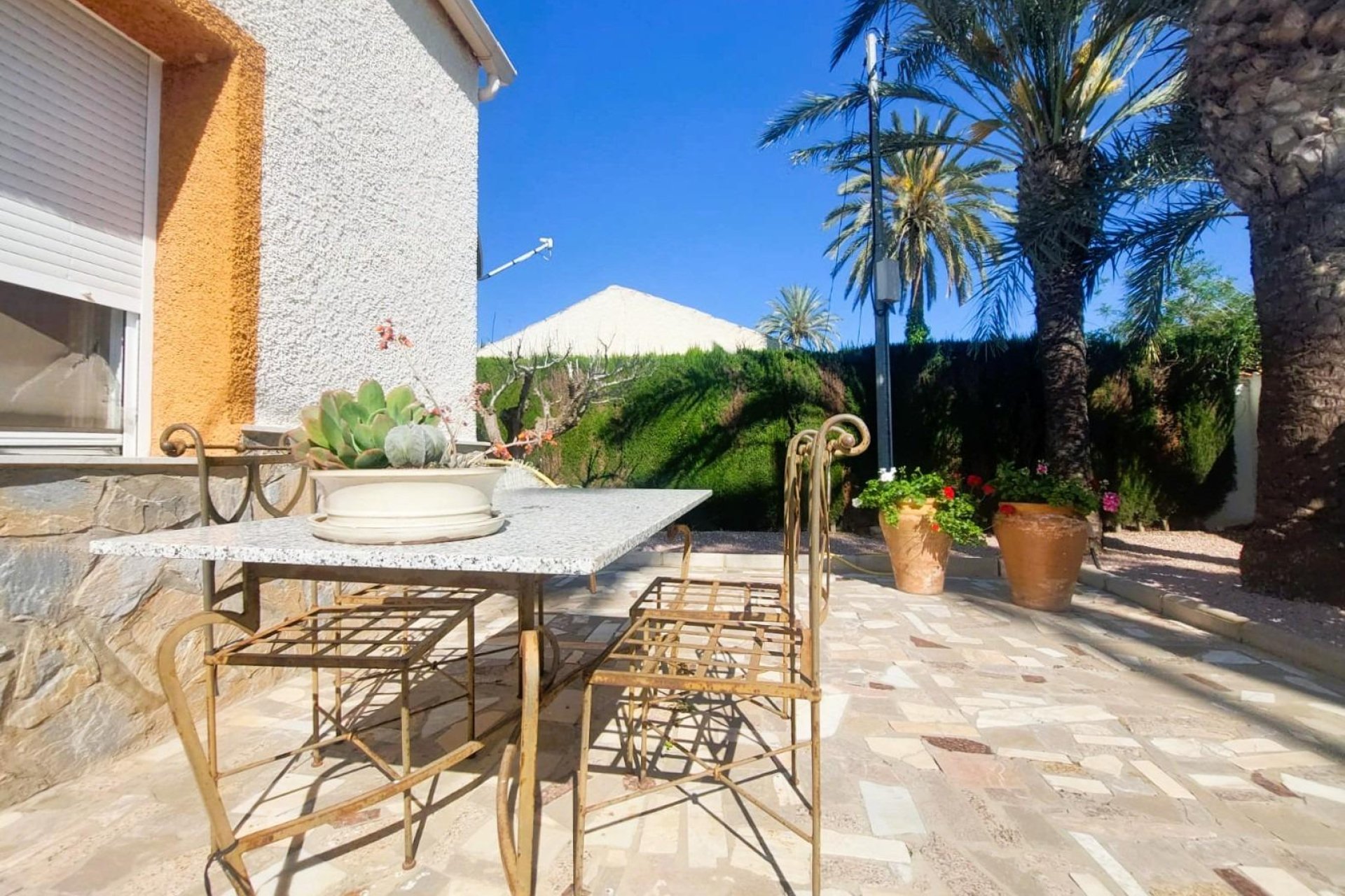 Reventa - Finca - La Marina