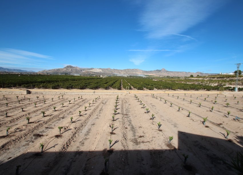 Reventa - Finca - Murcia - Costa Blanca