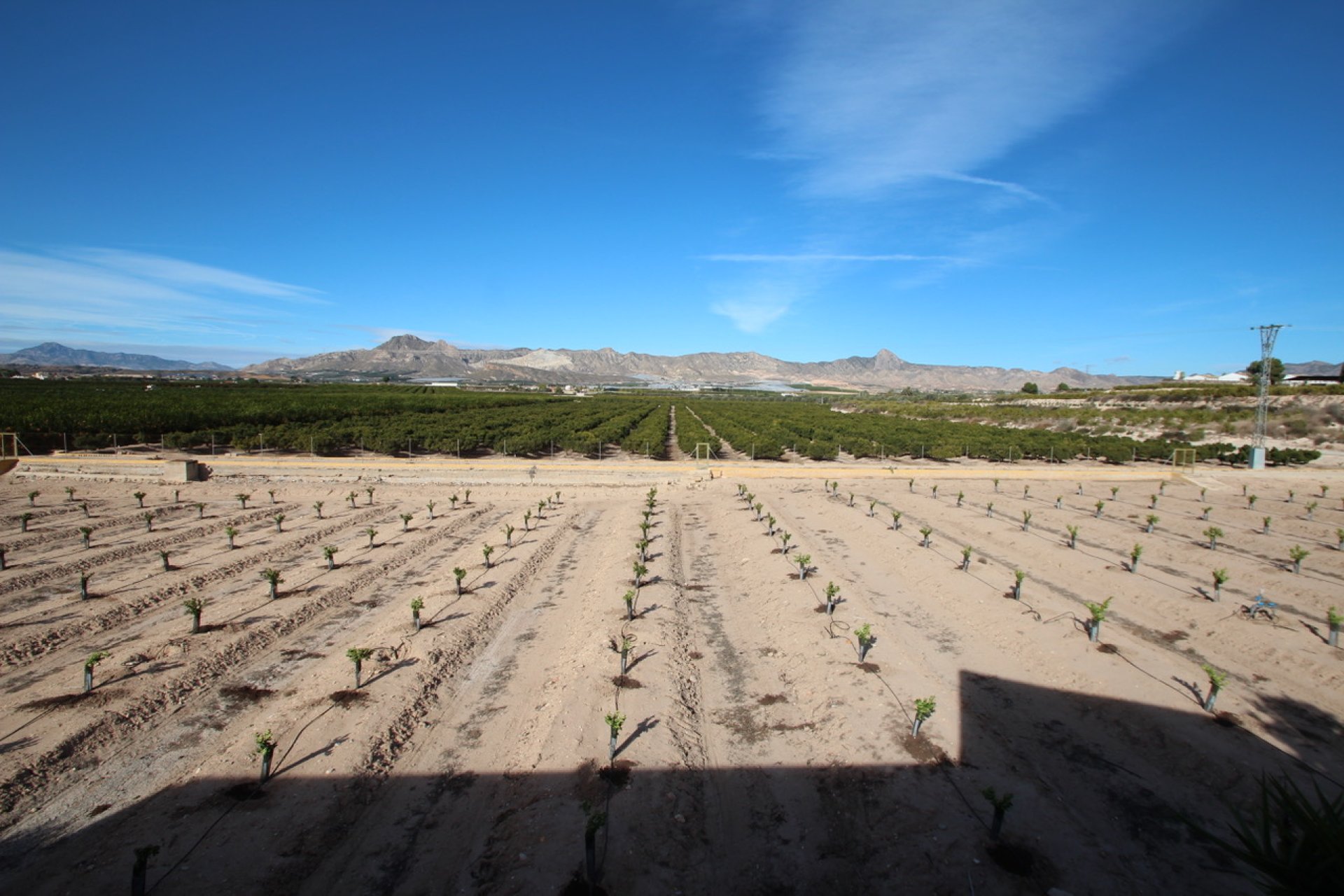 Reventa - Finca - Murcia - Costa blanca