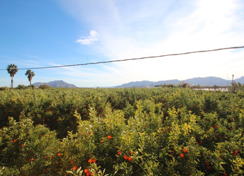 Reventa - Finca - Murcia - Costa blanca